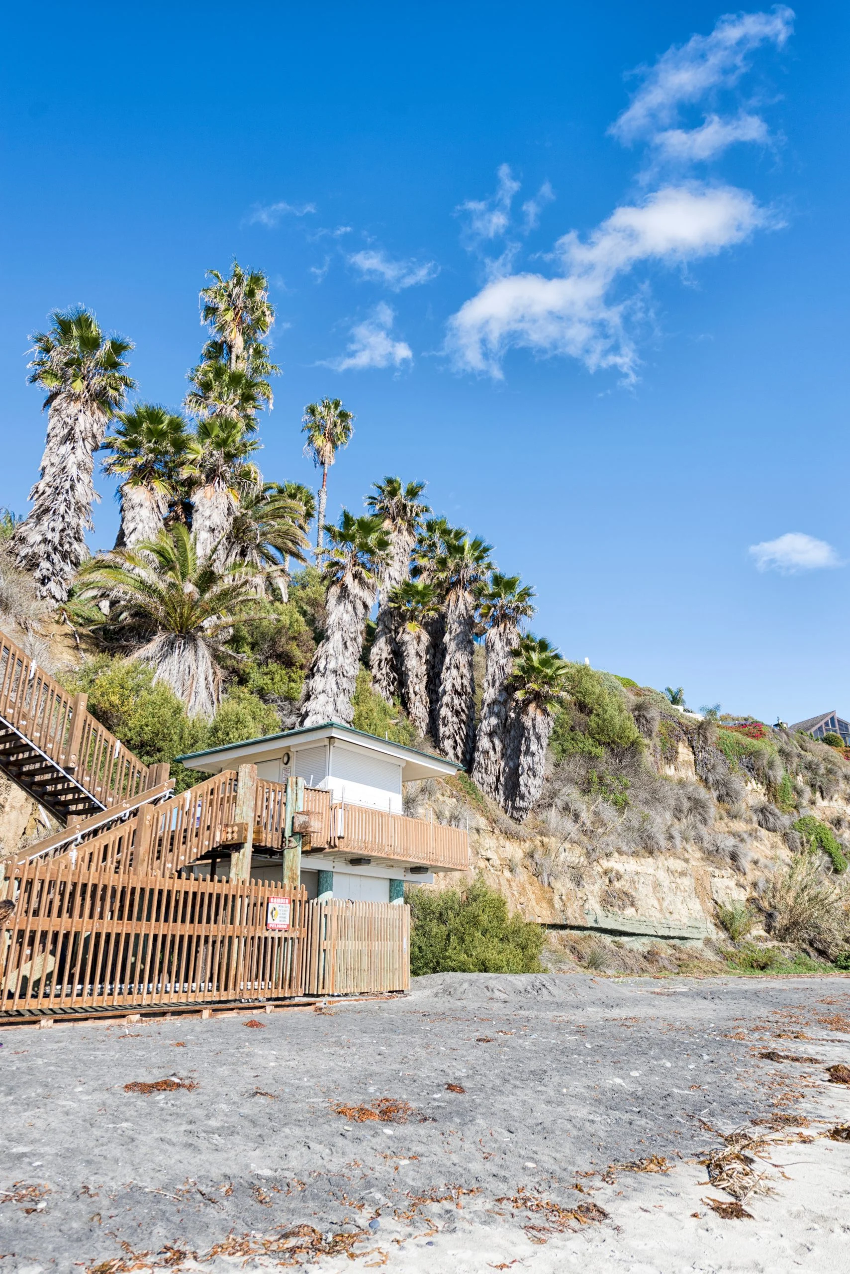 Encinitas Market Image