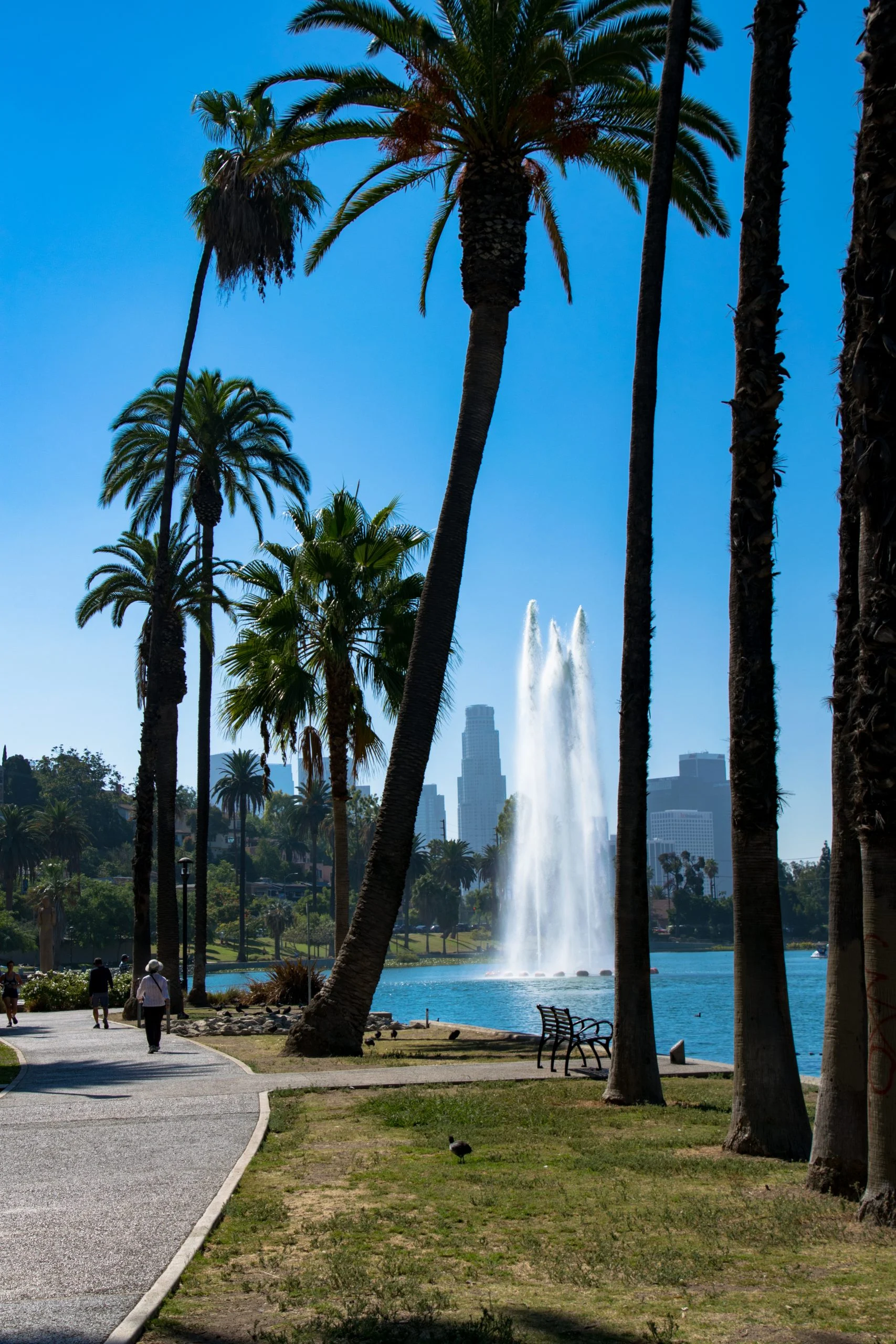 Los Angeles Market Image