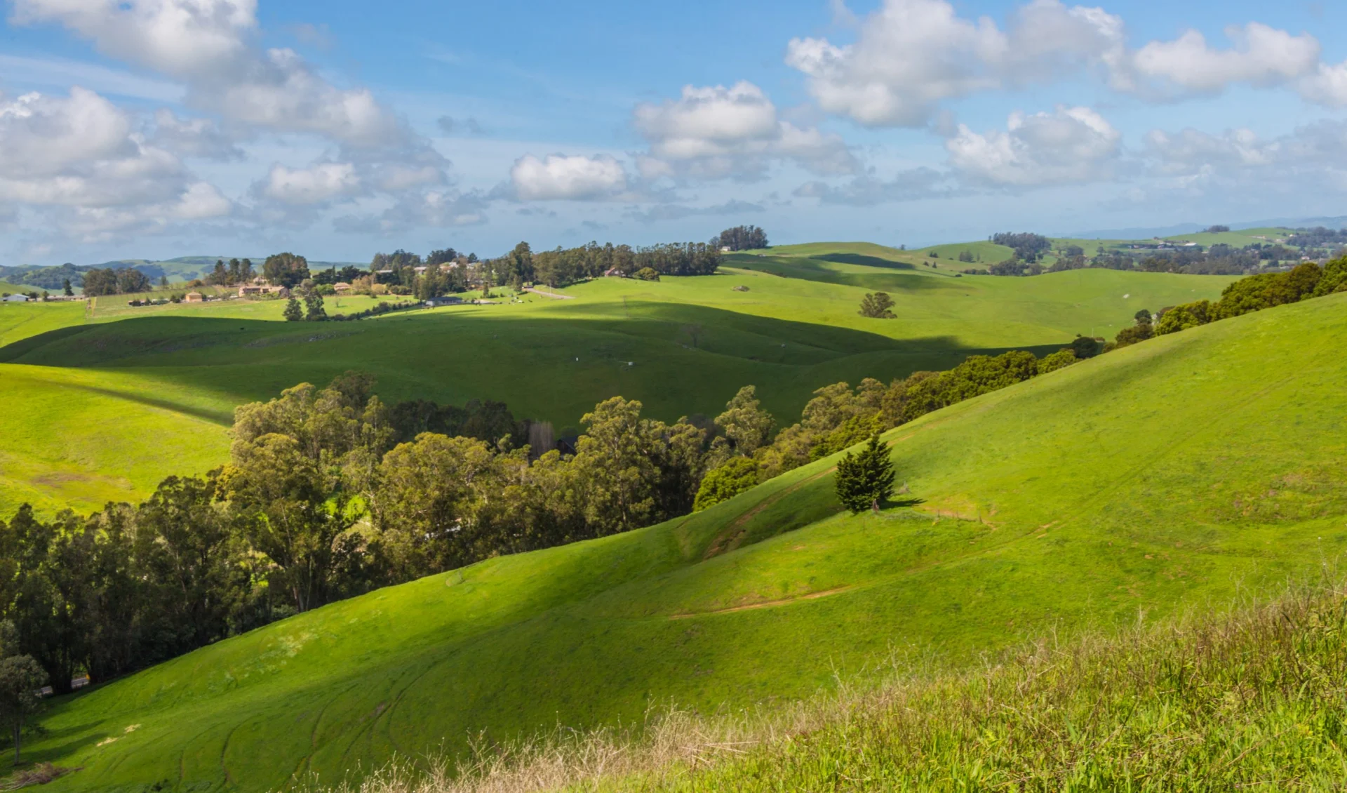 Petaluma