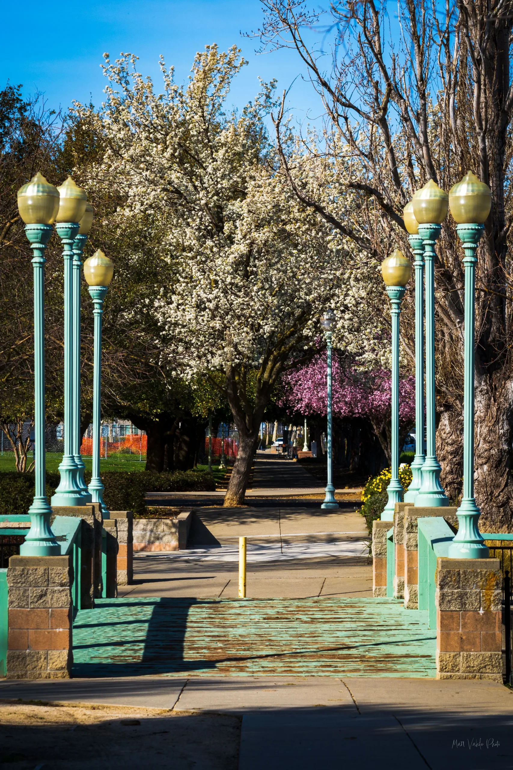 Rancho Cordova Market Image