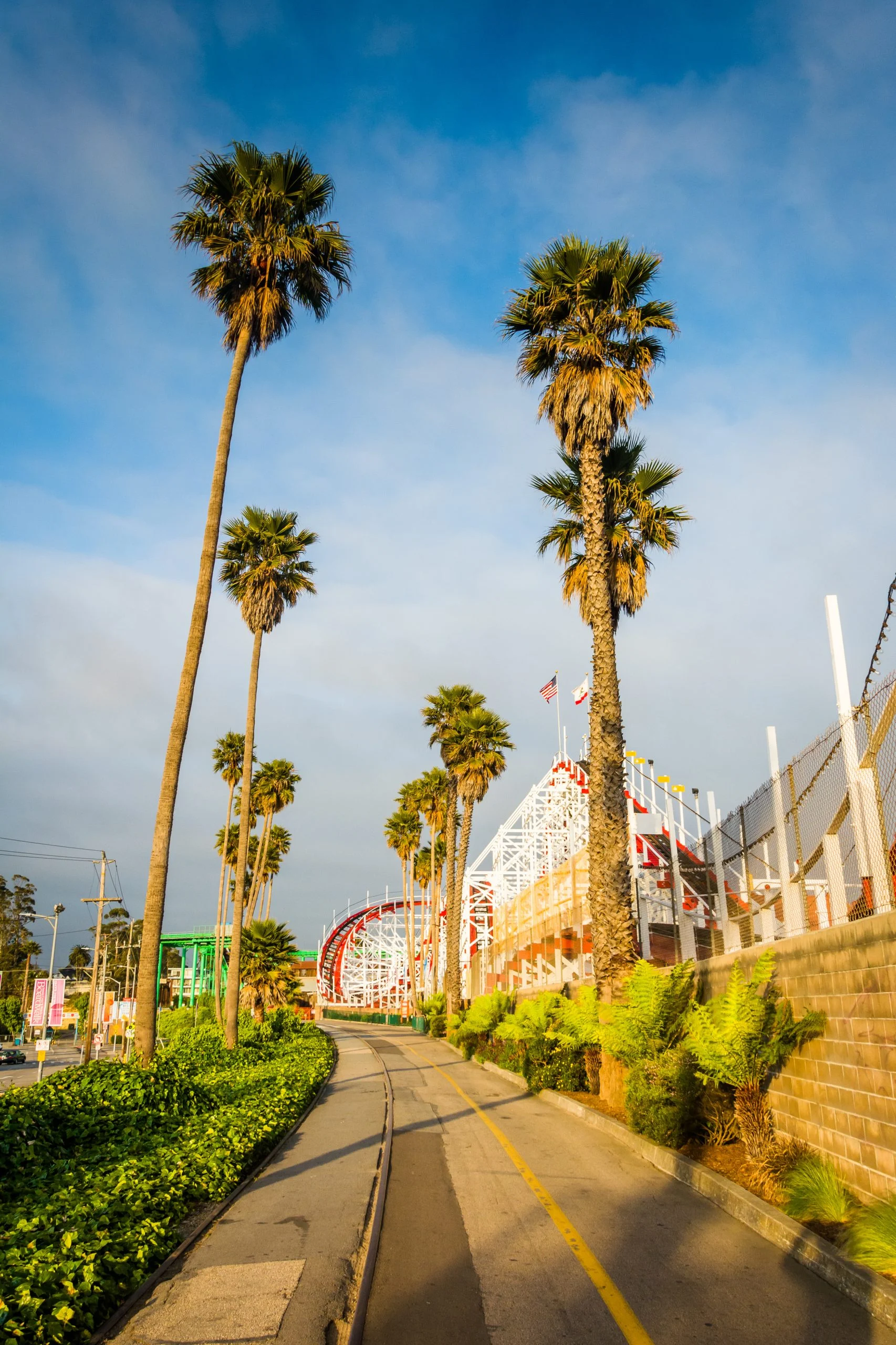 Santa Cruz Market Image