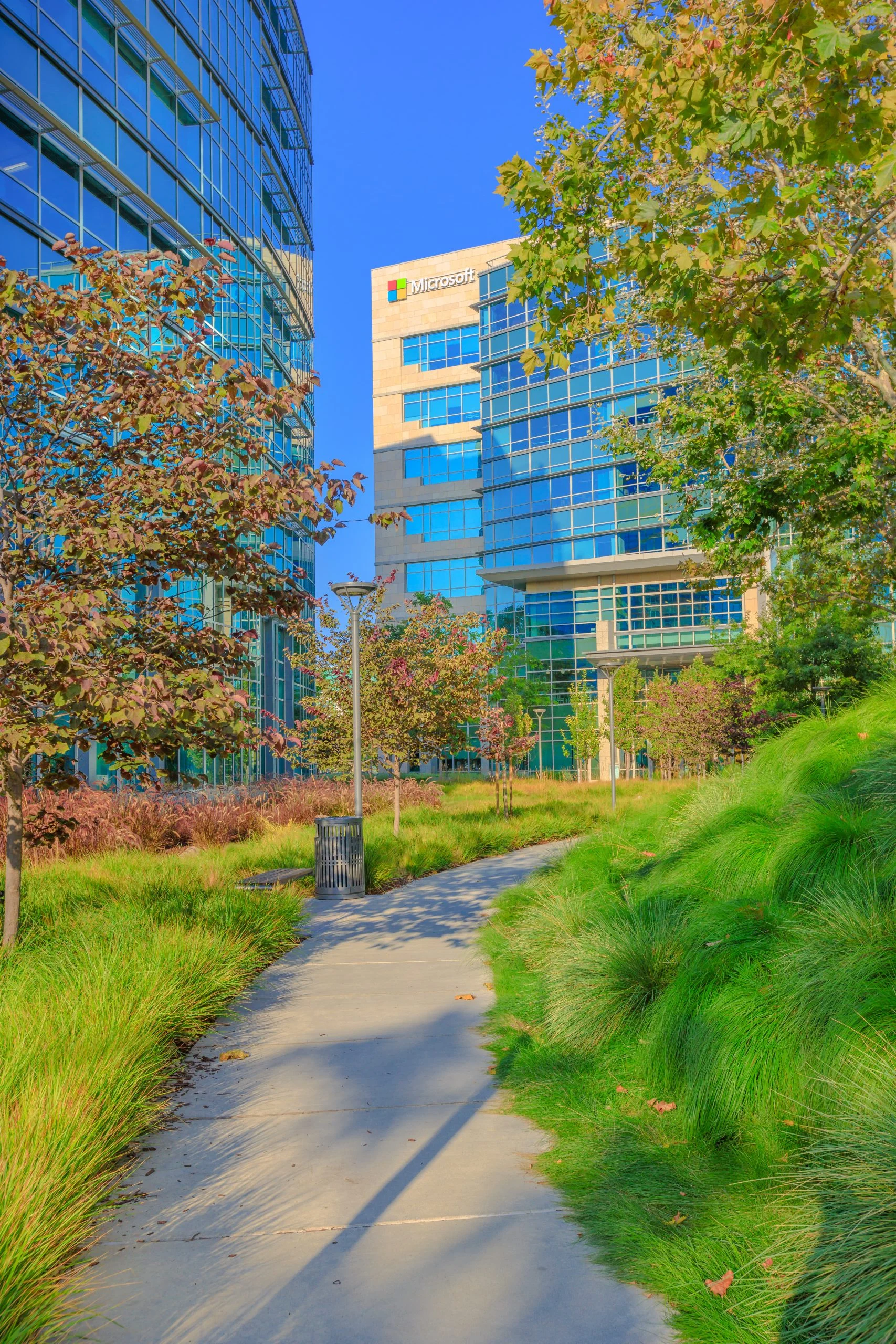 Silicon Valley Market Image