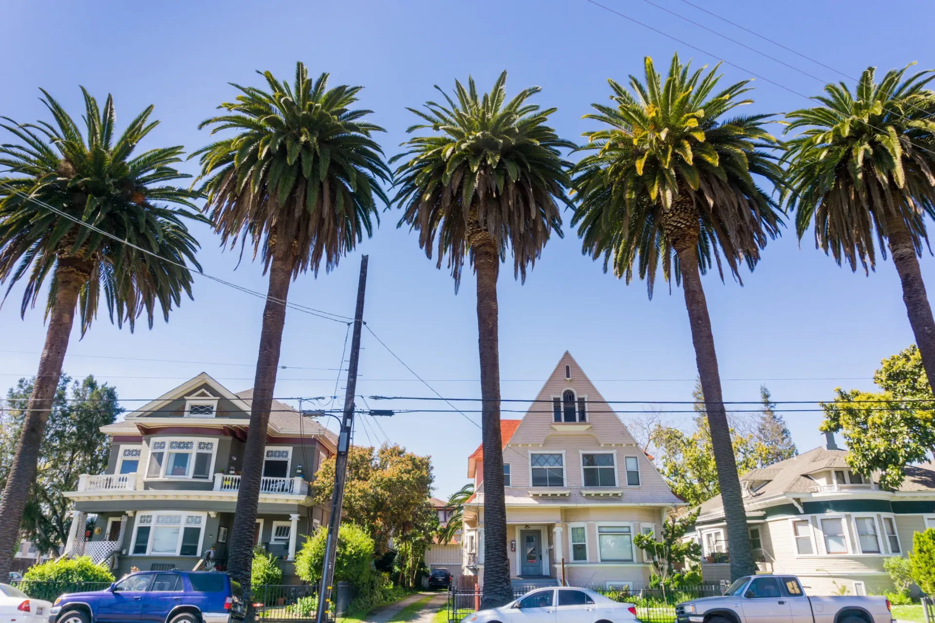 Willow Glen