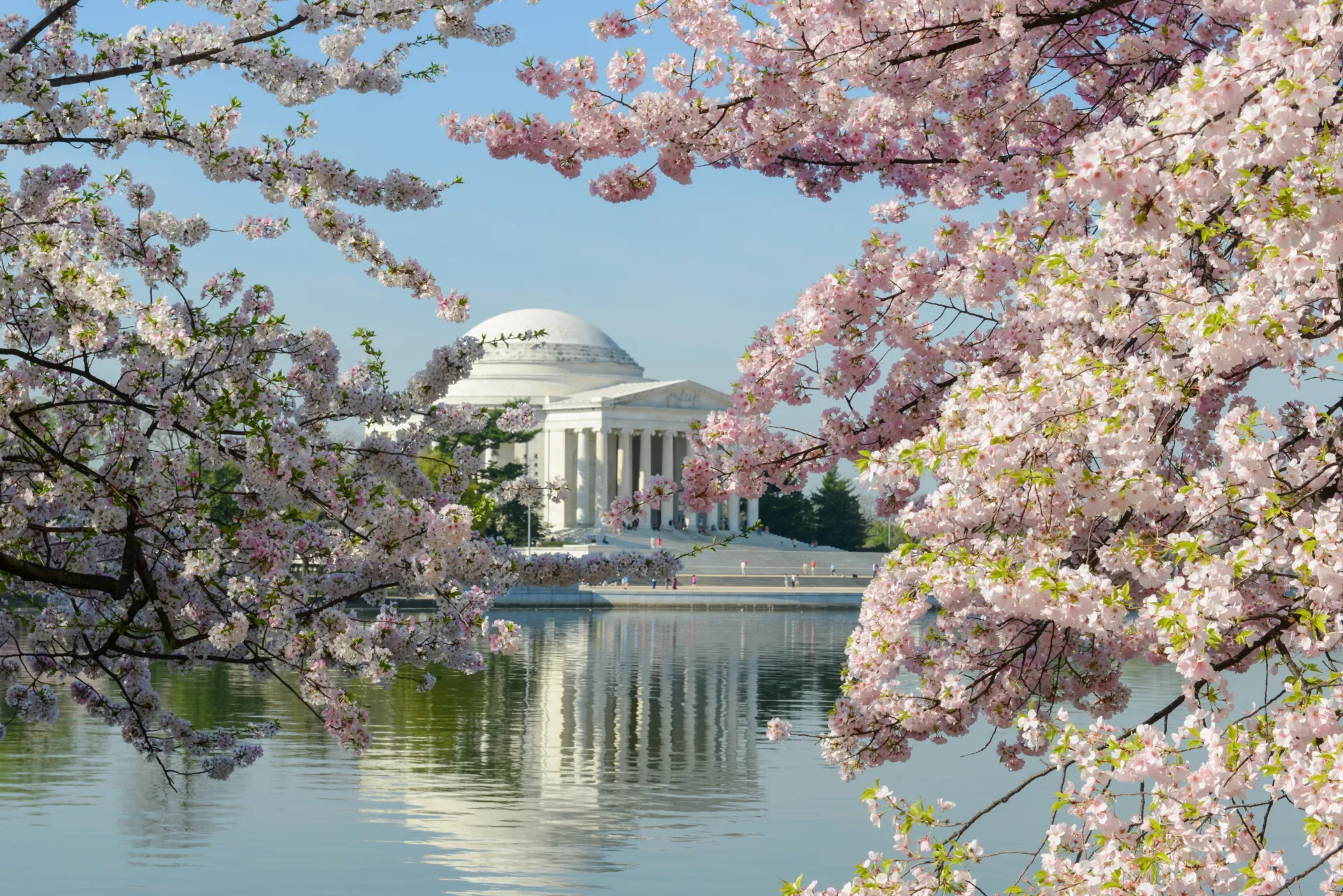 Washington DC
