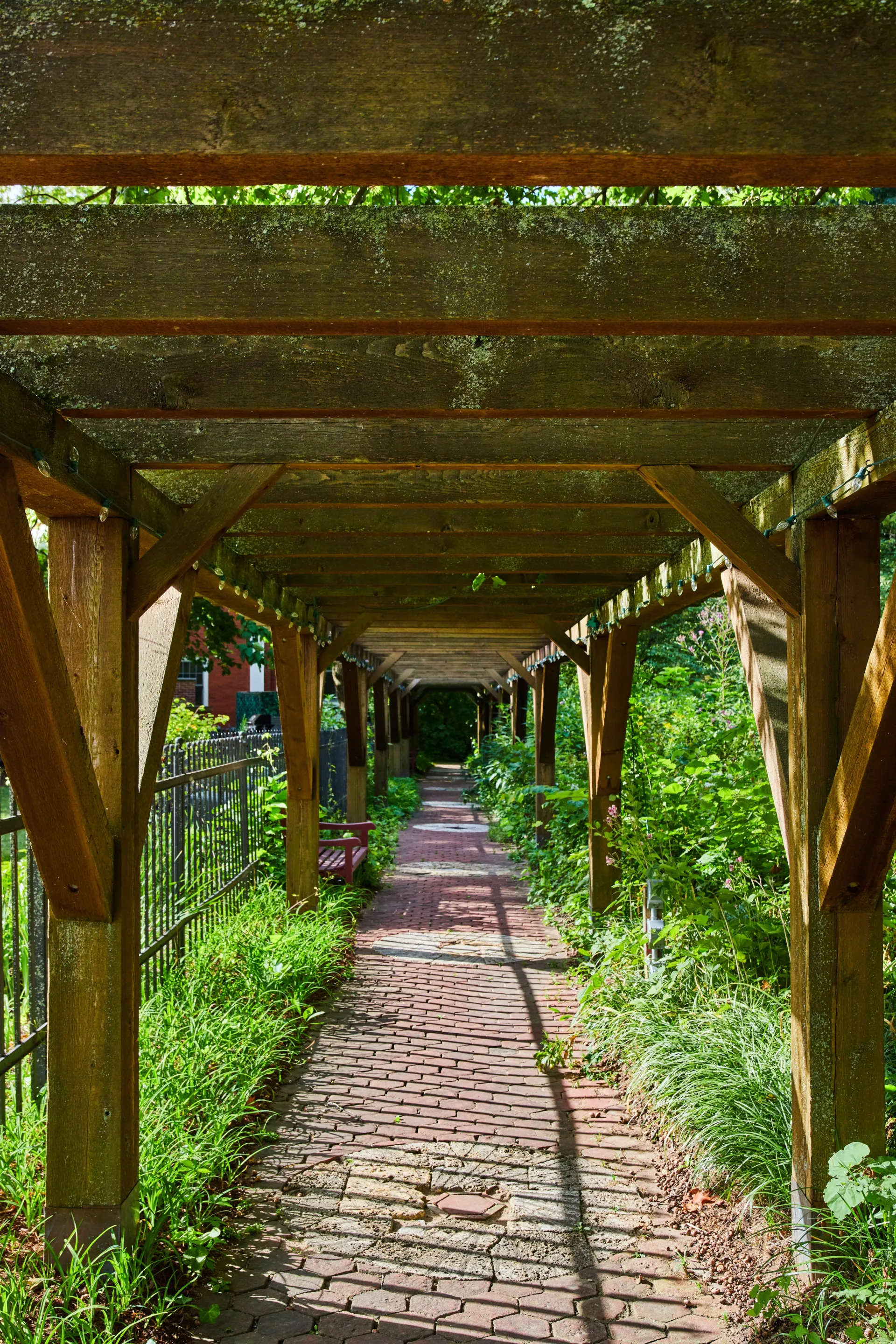 Anderson Market Image