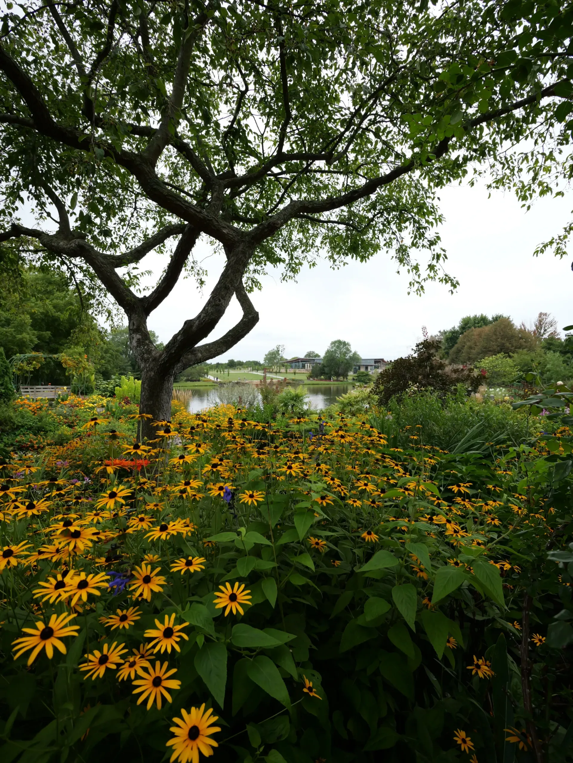 Overland Park Market Image