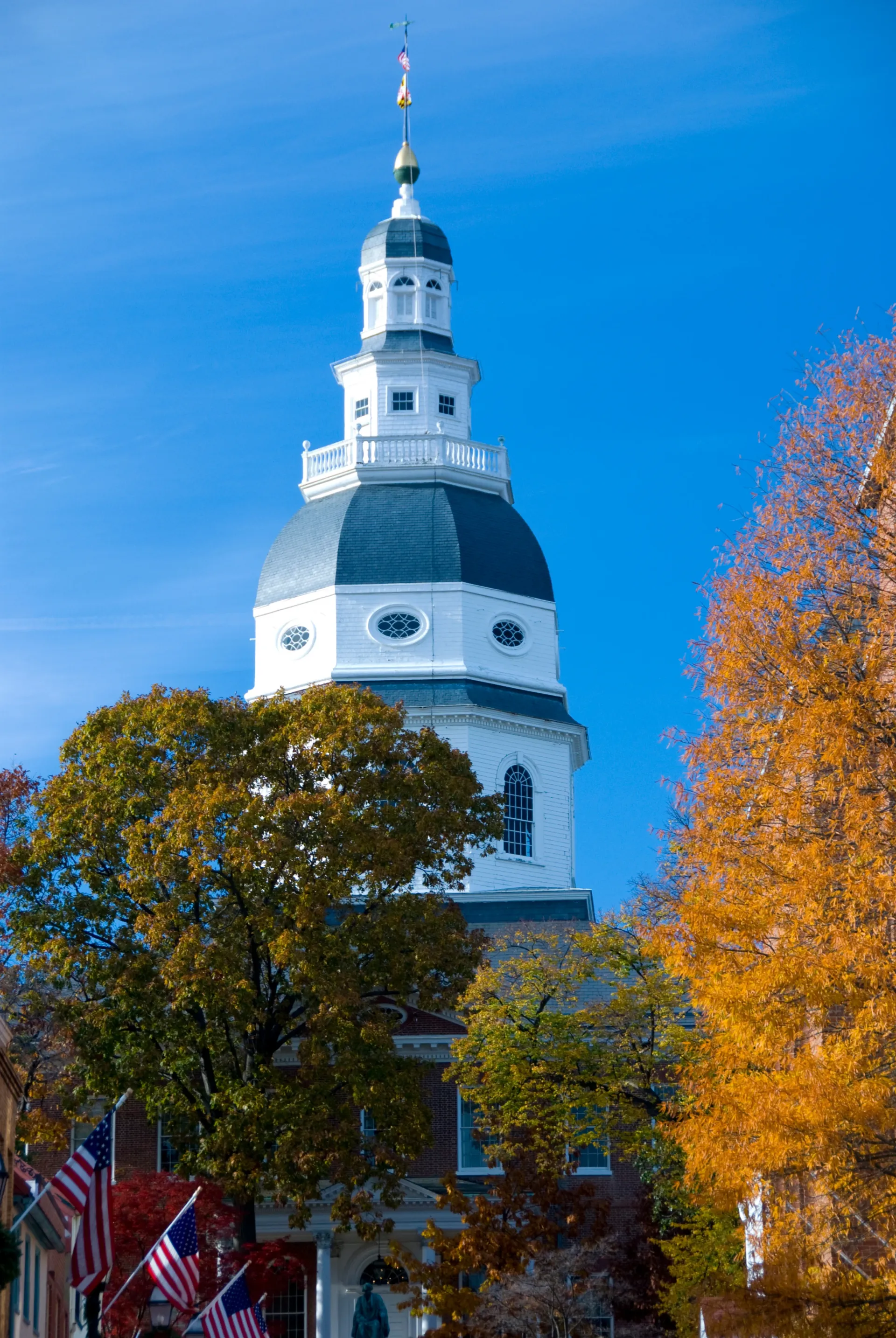 Annapolis Market Image