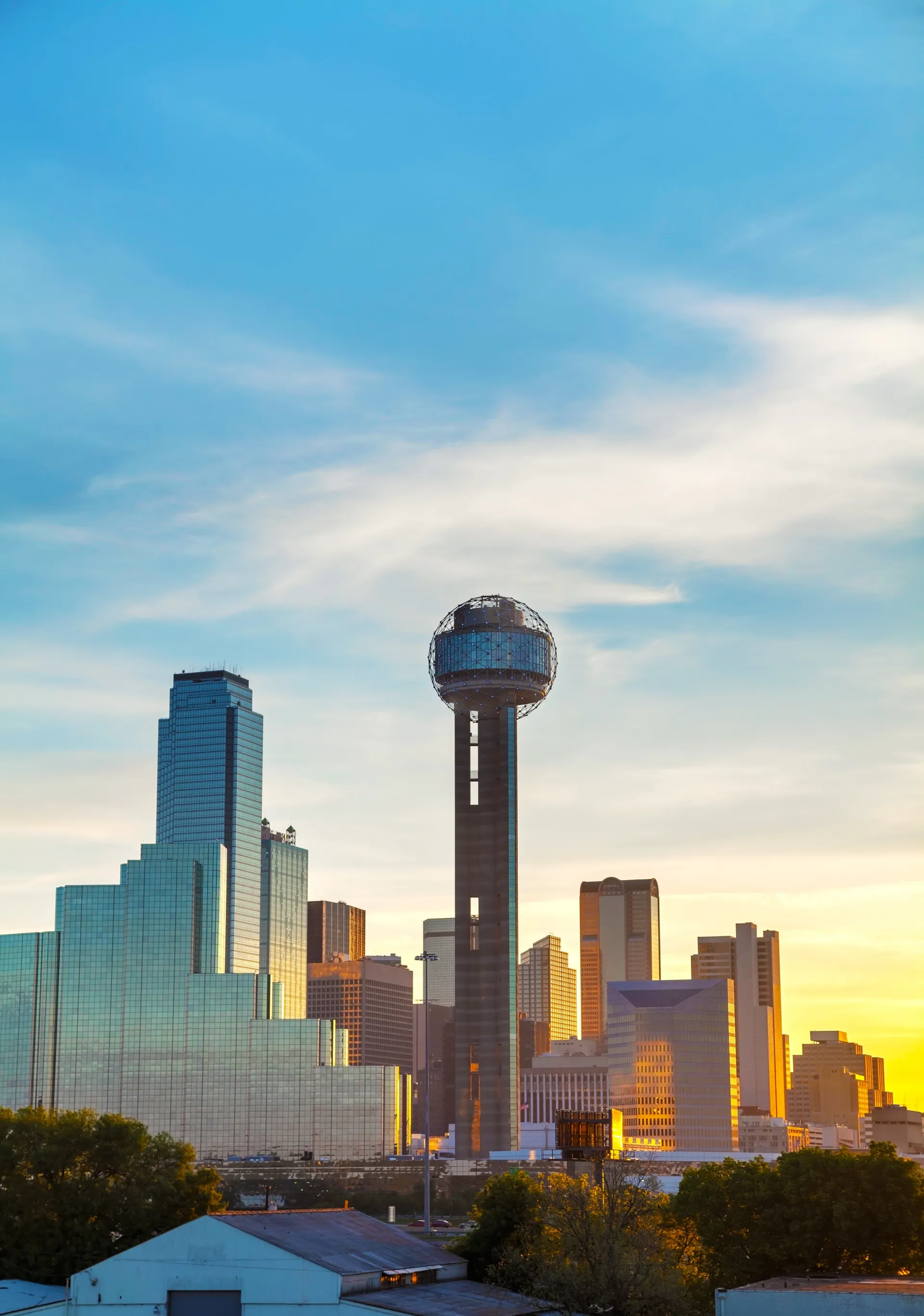 Dallas Market Image