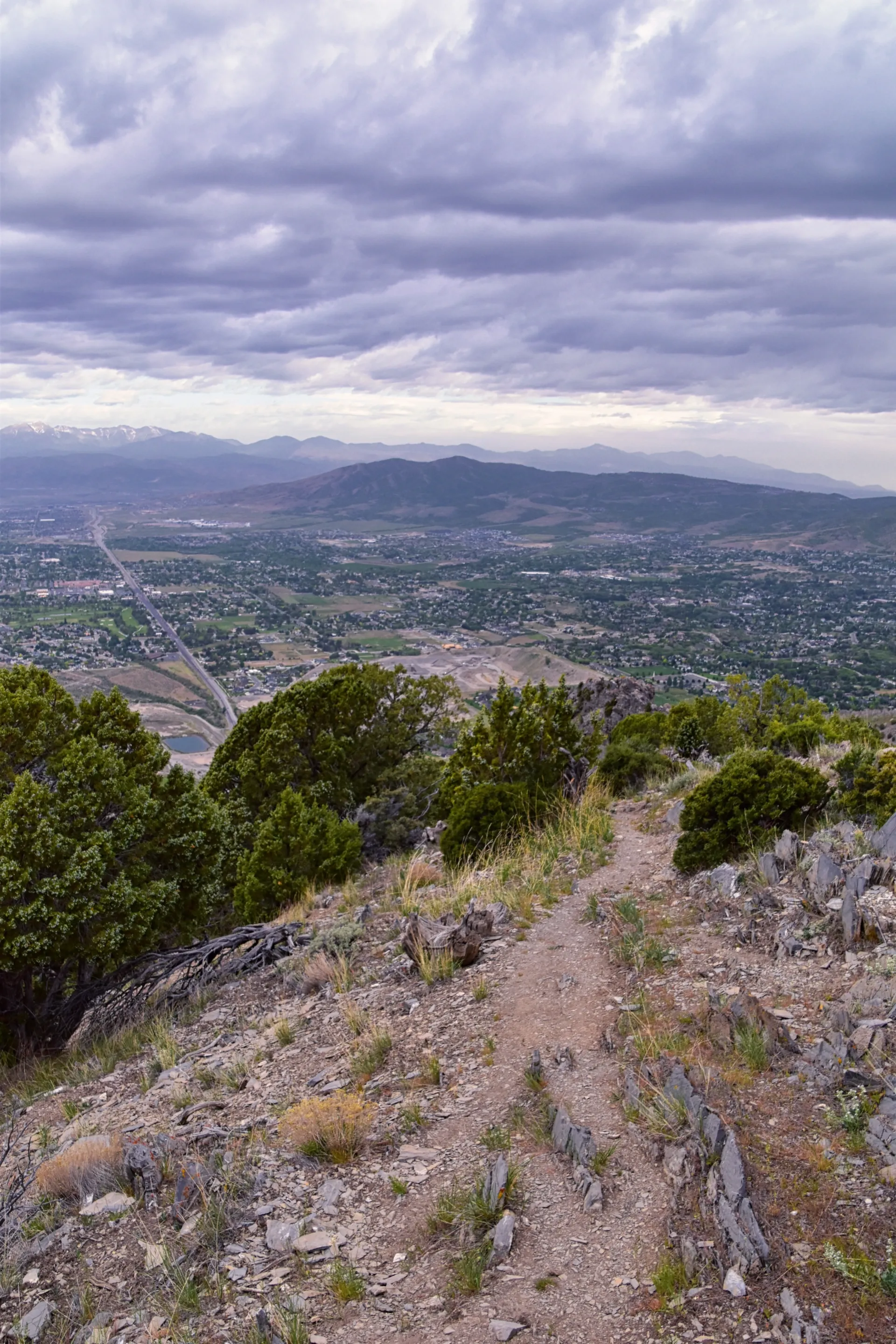 Orem Market Image