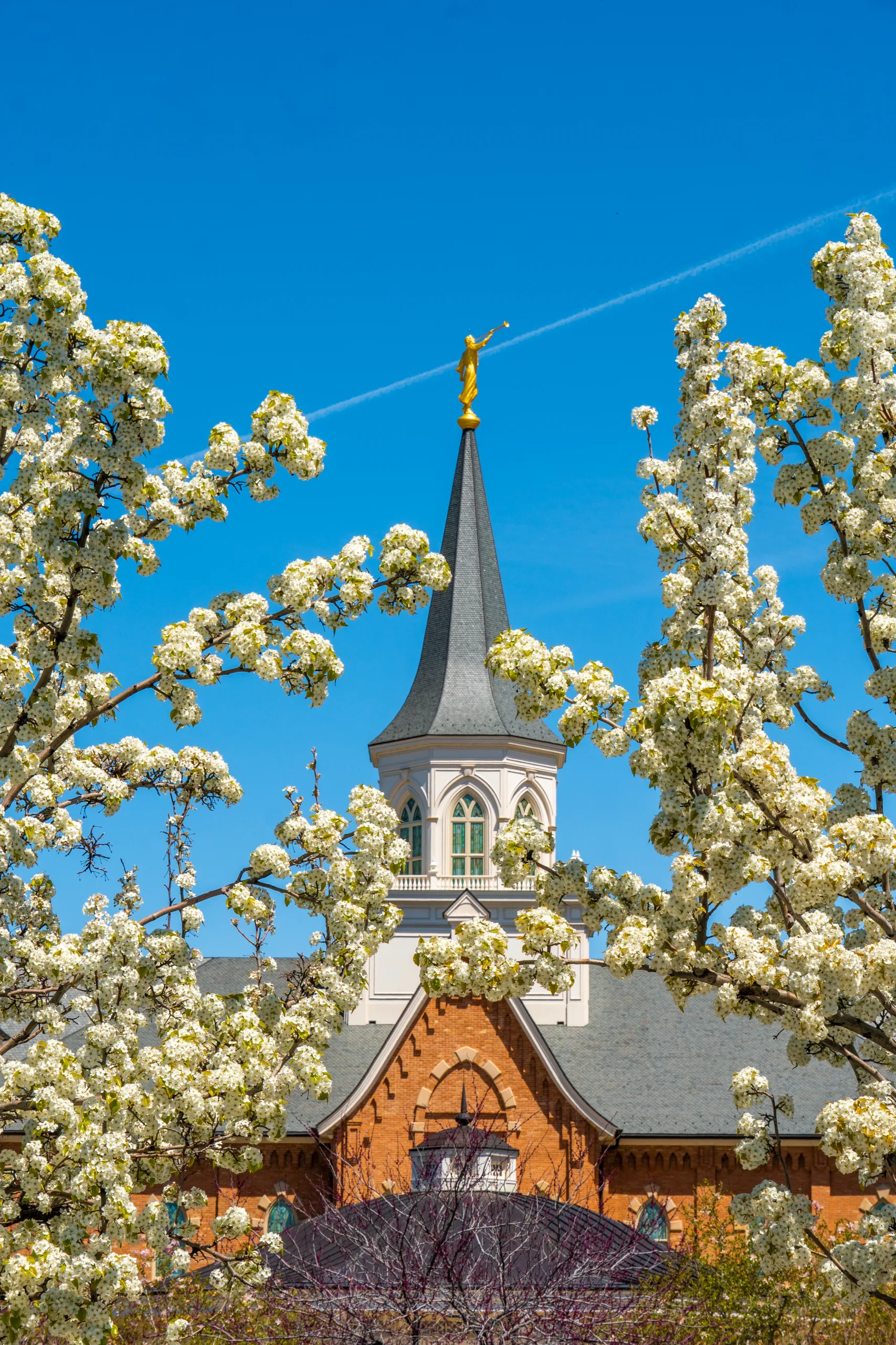 Provo Market Image