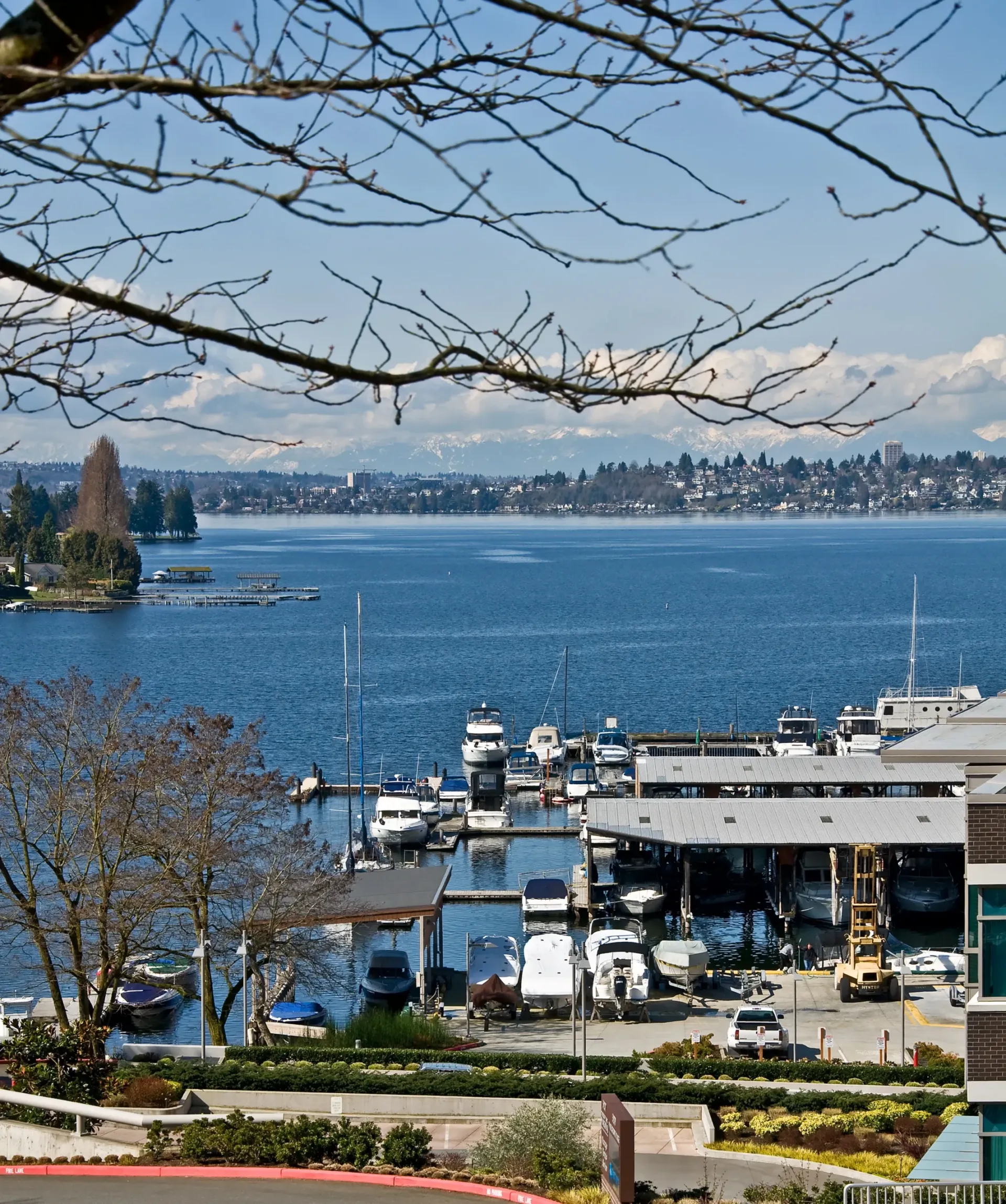 Kirkland Market Image